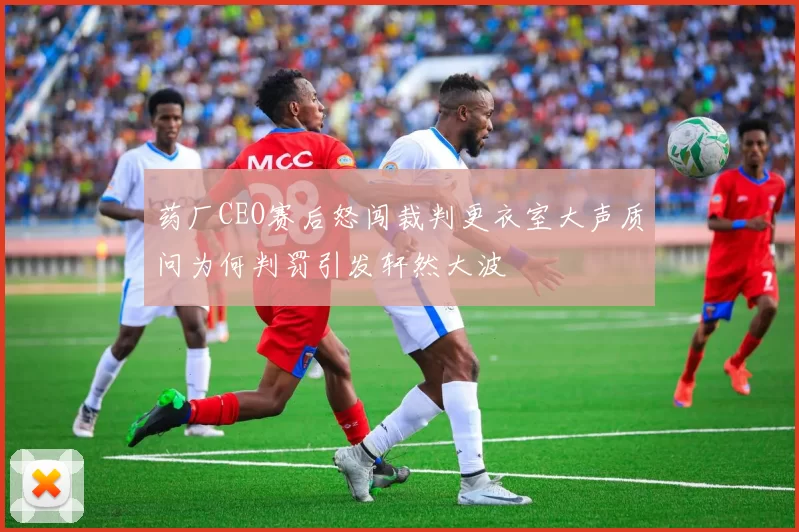 药厂CEO赛后怒闯裁判更衣室大声质问为何判罚引发轩然大波