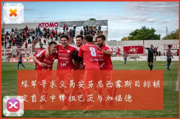 绿军寻求交易安芬尼西蒙斯目标锁定首发中锋祖巴茨与加福德