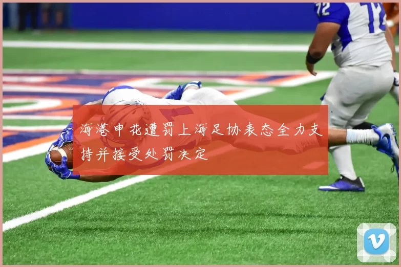 海港申花遭罚上海足协表态全力支持并接受处罚决定