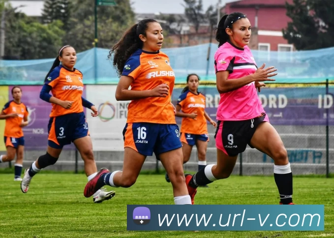 海港申花遭罚上海足协表态全力支持并接受处罚决定